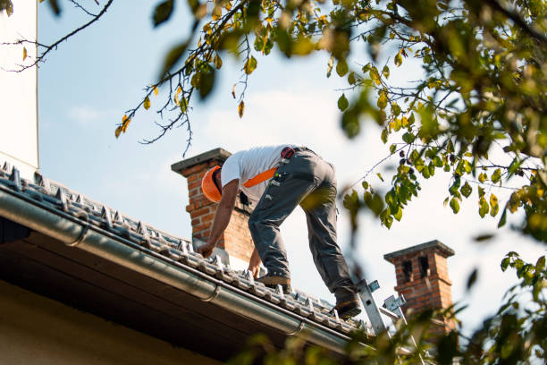 Best Gutter Installation and Roofing  in Wyong, MI