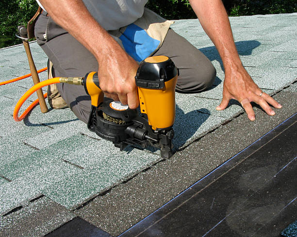 Best Roof Maintenance Services  in Wyong, MI