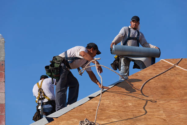 Best Roof Waterproofing Services  in Wyong, MI