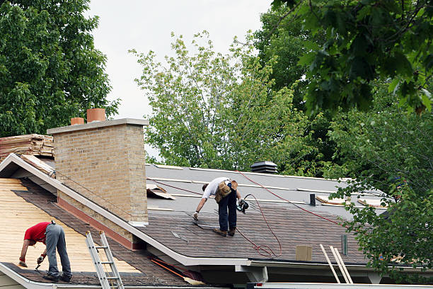 Best Roof Leak Repair  in Wyong, MI