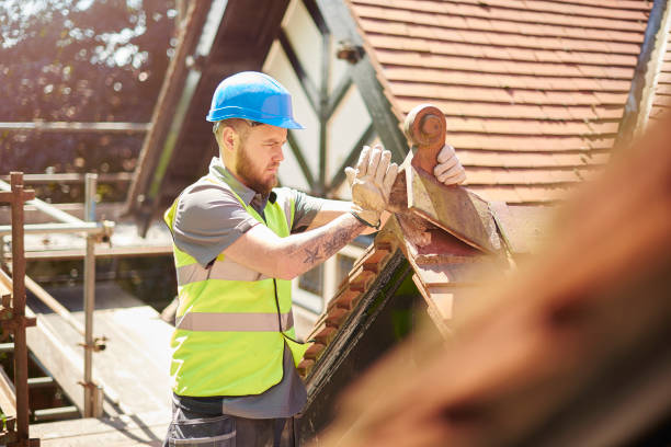 Best Roof Replacement Cost  in Wyong, MI