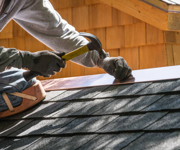 Best Shingle Roofing Installation  in Wyong, MI